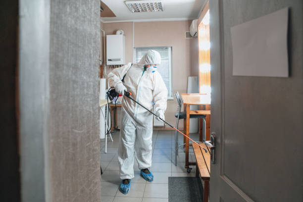 Professional Mold Removal in Pleasant Hill, IA