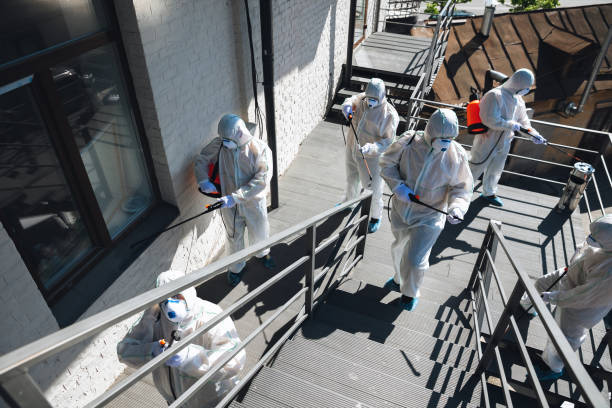 Best Black Mold Removal  in Pleasant Hill, IA