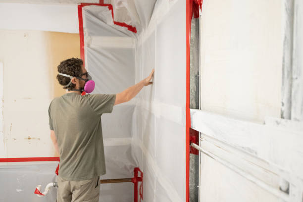 Best Mold Damage Restoration  in Pleasant Hill, IA