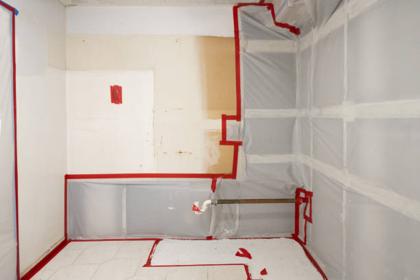 Best Environmental Consulting for Mold Prevention  in Pleasant Hill, IA