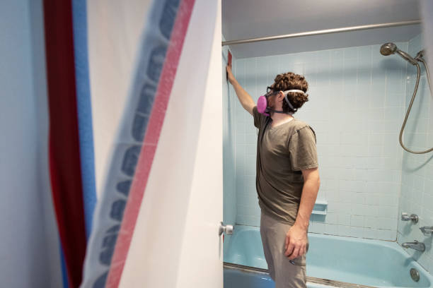 Best Mold Prevention Services  in Pleasant Hill, IA