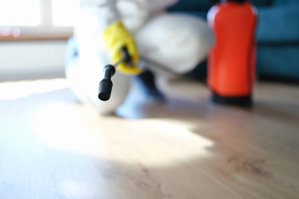  Pleasant Hill, IA Mold Removal Pros