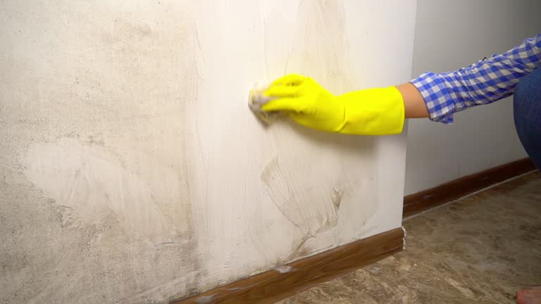 Best Mold Odor Removal Services  in Pleasant Hill, IA