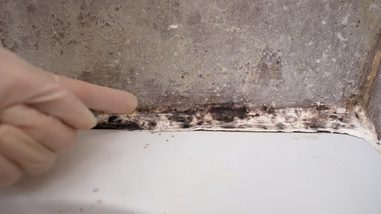 Best Air Quality Testing for Mold Spores  in Pleasant Hill, IA