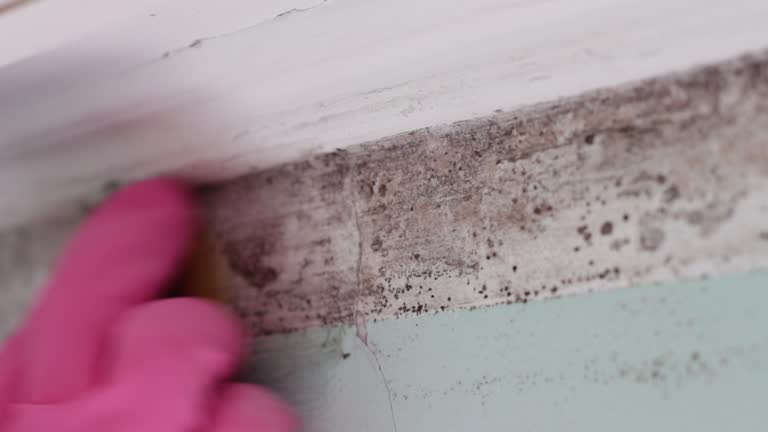 Best Indoor Air Quality Assessment  in Pleasant Hill, IA